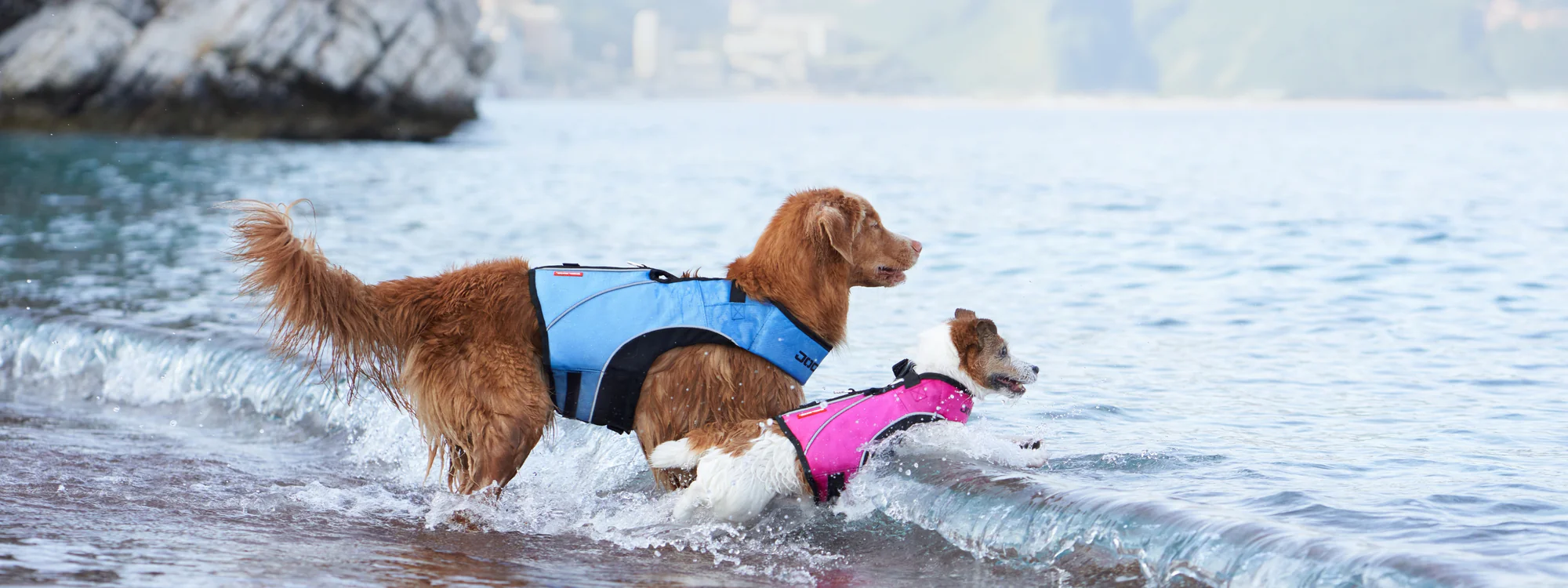 Gear Up for Every Adventure